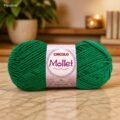 Bandeira-5545